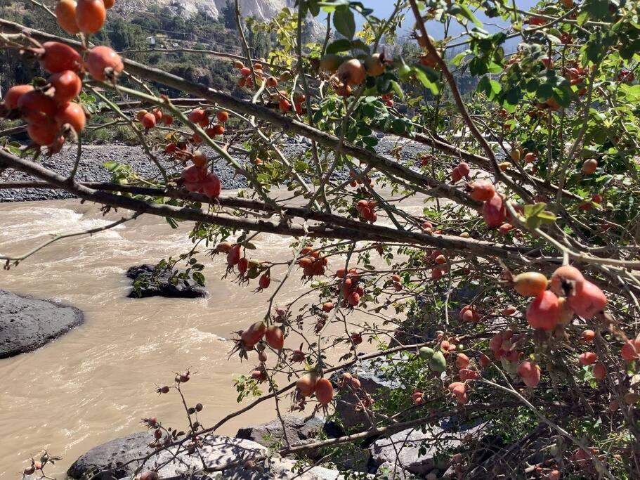 Cabana, Tinaja Y Rio Apartamento