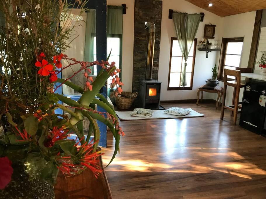Cabana, Tinaja Y Rio
